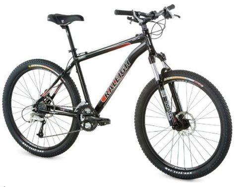 Raleigh Mojave 8.0