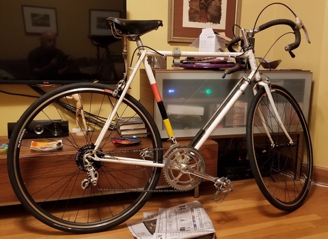 Raleigh Professional