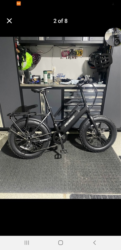 Pedigo Element