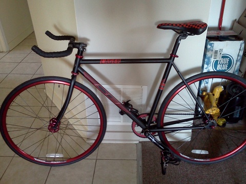 2009 SE Lager
