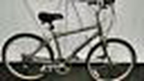 Raleigh SC-30