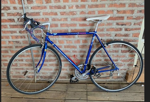 Paramount Schwinn Series 3