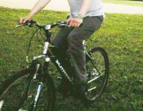 schwinn