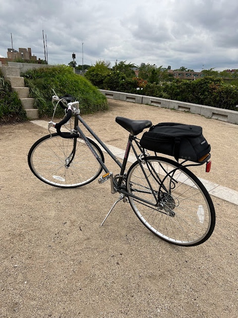 Schwinn World Sport