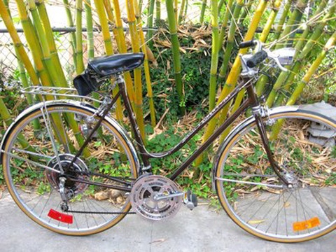 Blue Schwinn Super Sport