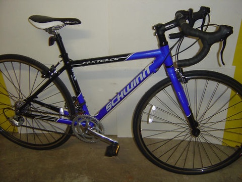 Schwinn Fastback 2009