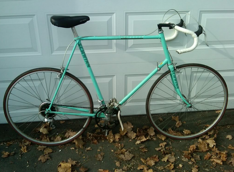 Schwinn Traveler