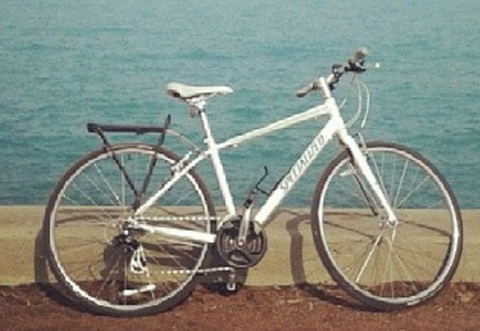 Specialized Vita Women's Bike