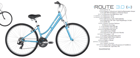 Raleigh Women's 