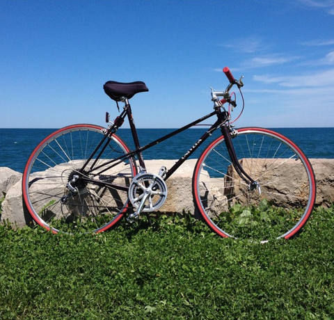 Univega - not sure of model 