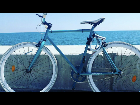 Retrospec Beta Series Single Speed with Flip Flop Hub