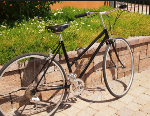 Shogun mixte