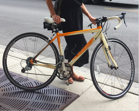 Trek 2.1 WSD