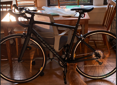 2020 Specialized Allez