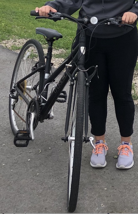 Trek Mountain Bike