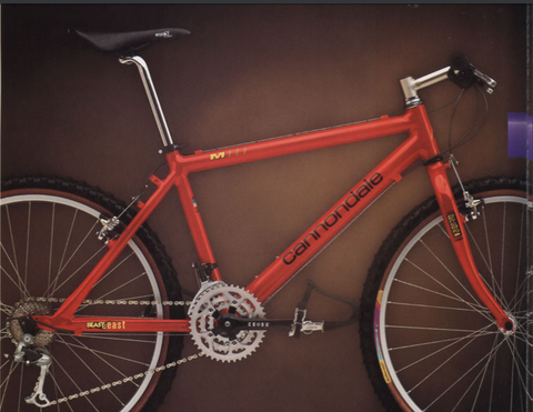 Cannondale M800