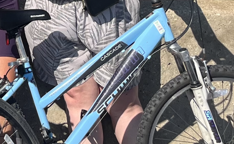 Schwinn Cascade