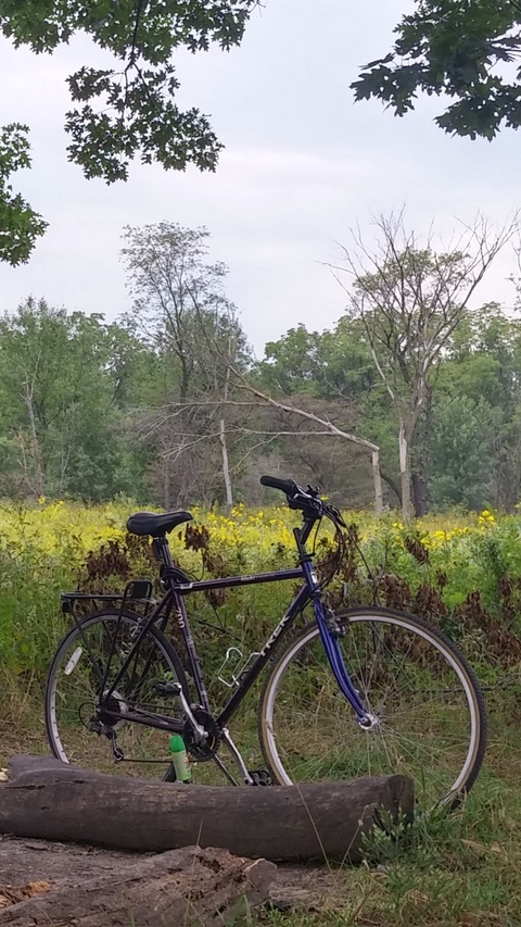 Trek MultiTrack 700
