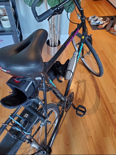 Schwinn Woodlands