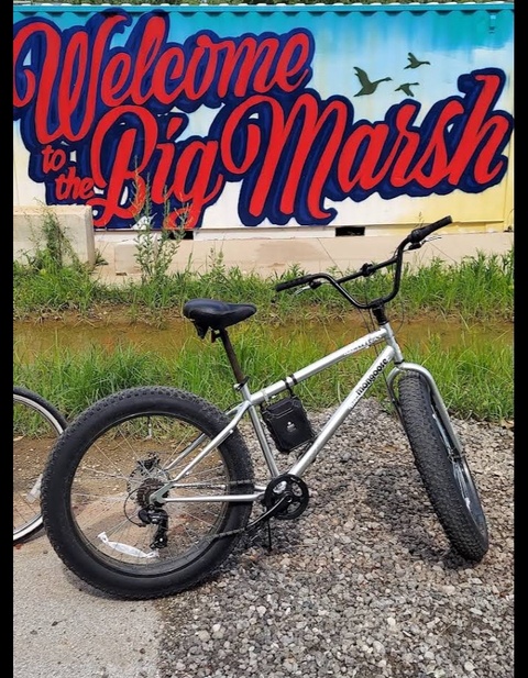Mongoose 