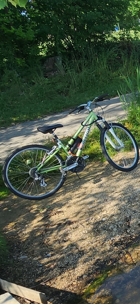 Raleigh Mojave 2.0