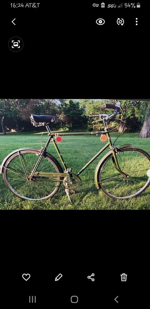 Raleigh Sport