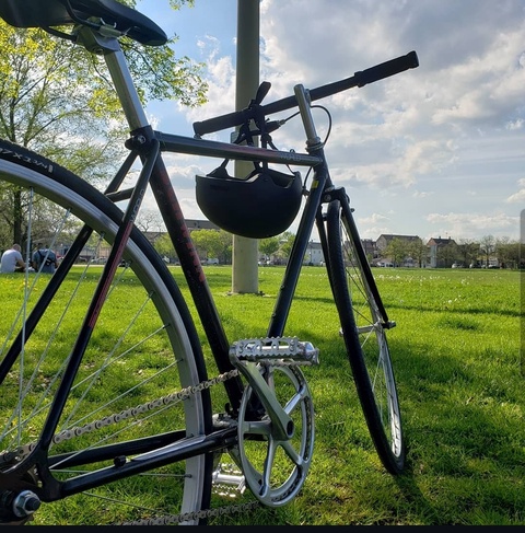 Schwinn