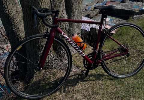 Specialized Allez