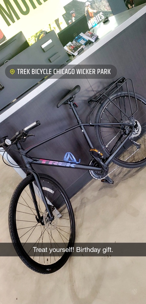 Trek Fx3 Woman's