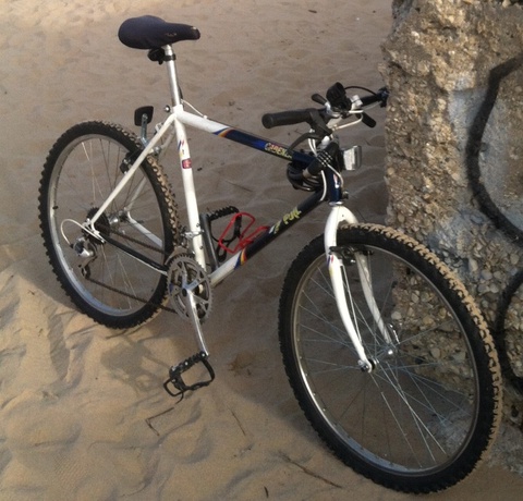 Fuji Cadenza