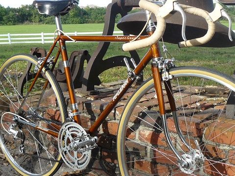 Raleigh Carlton Super Course