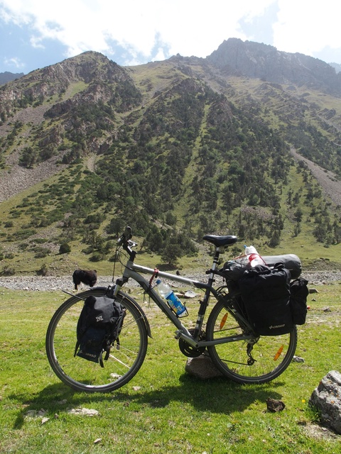 Trek Bodega 19'
