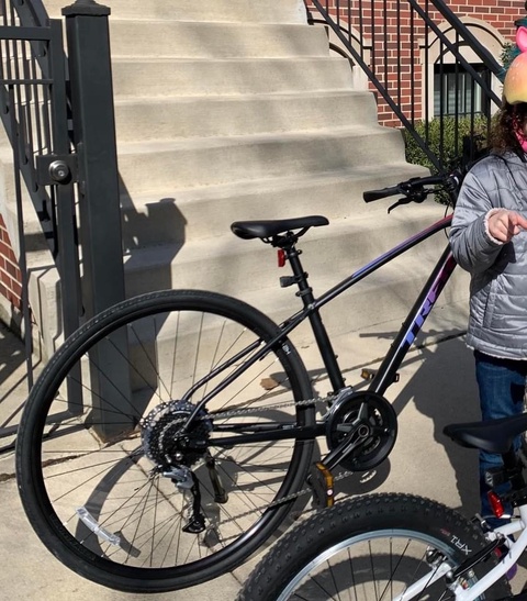 Trek FX 3 WSD Disc