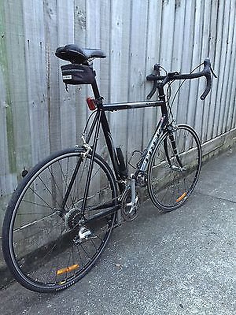 Trek 3 1000
