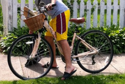Trek cruiser/street bike