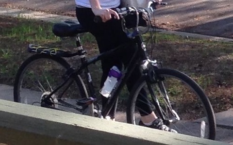 Schwinn Men's Voyager GS 2009