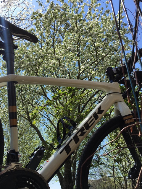 Trek Checkpoint SL 5 WSD