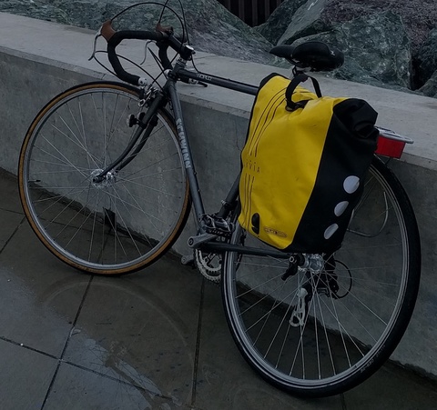 Schwinn World
