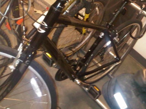 cannondale 2010