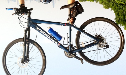 Diamondback Topanga