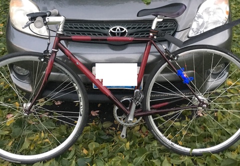 Bianchi Volpe