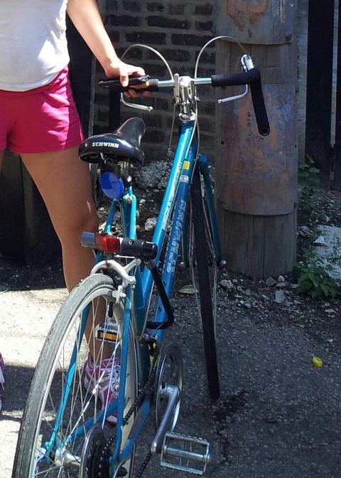 Schwinn Sprint