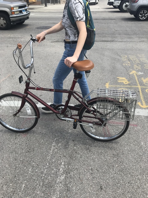 Sears "Free Spirit" VIntage 70s/80s model