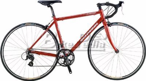 2004 Schwinn Fastback Sport
