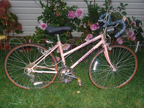 Schwinn Caliente