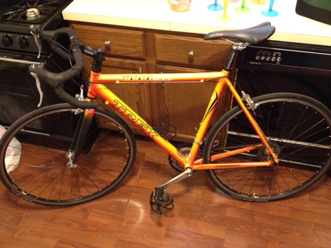 2006 Trek 1000