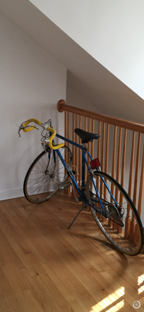 Schwinn Le Tour