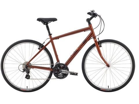 Specialized Globe