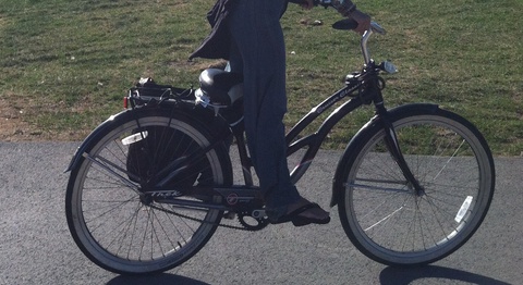 Trek Classic Cruiser