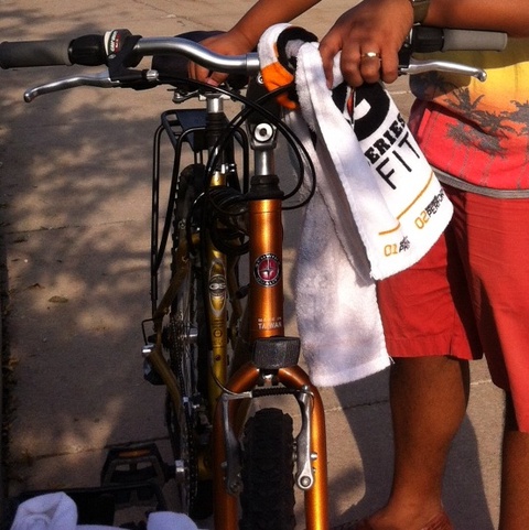 Schwinn